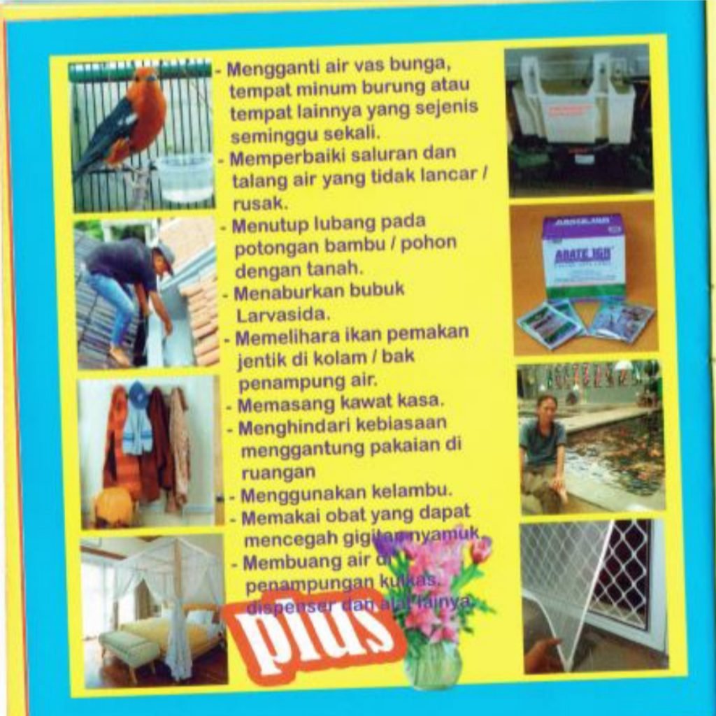 ASEAN Dengue Day Belajar Epidemiologi